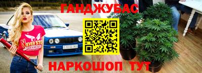 шишки Балаково