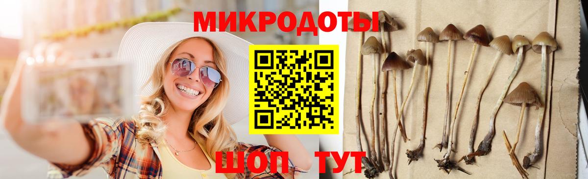 Псилоцибиновые грибы прущие грибы  Вход с VPN  Гусев 