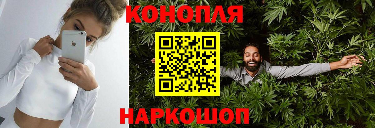Бошки Шишки планчик  Конопля VHQ  Вход с VPN  Каннабис AK-47  Гусев  Бошки Шишки планчик 
